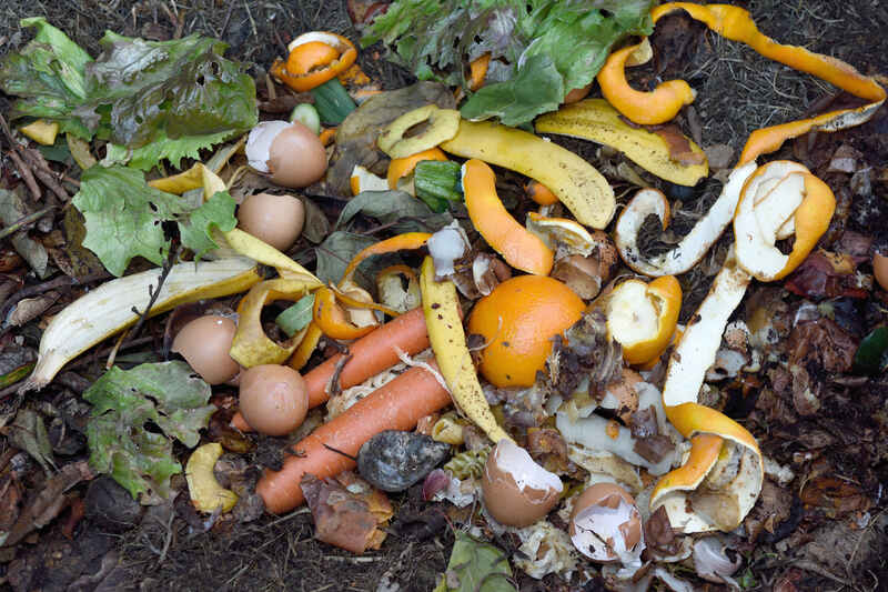 inside of a composting container  