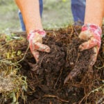 What is Compost?