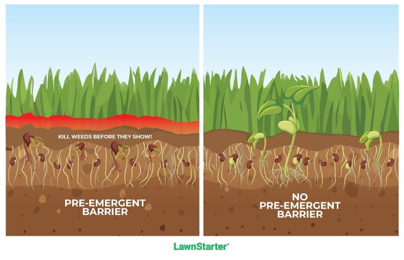 infographic for Pre-Emergent Herbicide Infographic