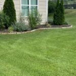 Best Grass Types for Lawns in Little Rock