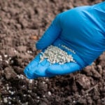 Organic vs. Synthetic Fertilizer: What’s the Difference?