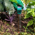 Why Test the Soil pH of Your Lawn