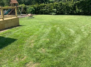 Is Lawn Irrigation Expensive?  Groundhog Landscaping Derry NH