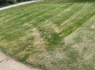 Lawn Mowing in Four Corners - PERFECT TOUCH LAWN MAINTENANCE, LLC