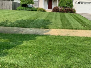 The 10 Best Lawn Care Services in Union, NJ from $39
