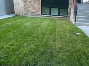 Herman P.'s Landscaping service result