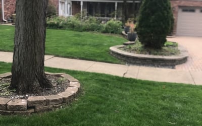 Mole Trapping  #1 Best Southern Connecticut Lawn Mole Pros