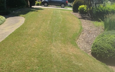 Elrod Landscaping & Aeration  Serving Canton, Ball Ground, and Cumming GA  - Lawn Care & Aeration in Canton, Ball Ground, and Cumming GA