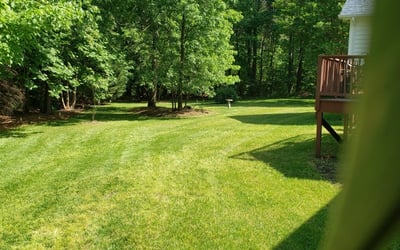 Florissant MO Lawn Care & Mowing Services - From $19