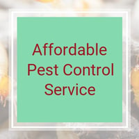 11 Best Pest Control Companies In Wilmington De Exterminators