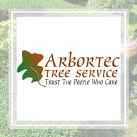 arbortech tree service virden il