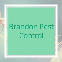 11 Best Pest Control Companies In Keystone Heights Fl Exterminators