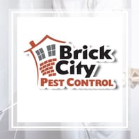 11 Best Pest Control Companies In Ocala Fl Exterminators