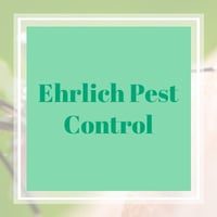 11 Best Pest Control Companies In Albany Ny Exterminators