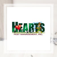 17 Best Pest Control Services In San Diego Ca Exterminators