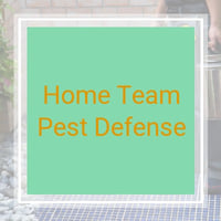 11 Best Pest Control Companies In Rockledge Fl Exterminators