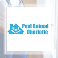 10 Best Pest Control Services In Charlotte Nc Exterminators