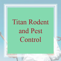 11 Best Pest Control Companies In Van Nuys Ca Exterminators
