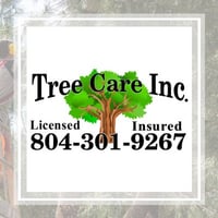 10 Best Tree Care Services In Richmond Va Tree Trimming