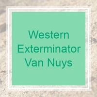 11 Best Pest Control Companies In Van Nuys Ca Exterminators