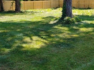 37++ Lawn care in mechanicsville information