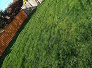 Ivan C.'s Yard Cutting service in Holland's Lawns And Landscape