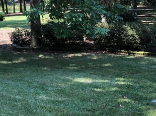38++ Landscapers columbia mo info