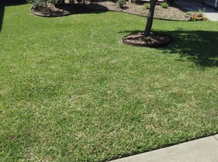 landscaping companies davenport iowa