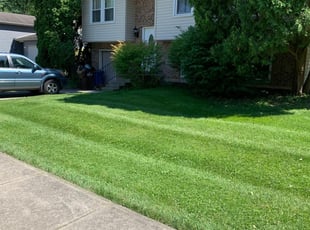 Parlin, NJ Lawn Care Service | Lawn Mowing from $19 | Best of 2022