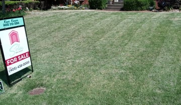 1 Baltimore Md Lawn Care Service Lawn Mowing From 19 Best 2021