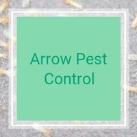 arrow pest control