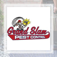 With One Fixing From Your Kitchen You Will Get Rid Of Your Hemorrhoids In 24 Hours Bed Bugs Termite Control Bed Bug Bites