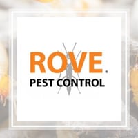 Rodent Control Arrow Termite Pest Control