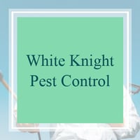 11 Best Pest Control Companies In Hutto Tx Exterminators