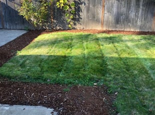 12 Best Lawn Care Services in Beaverton, OR 2020 | LawnStarter