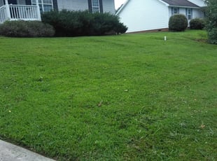 Top 10 Best Lawn Care Services In Wheaton Il Angie S List