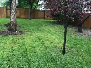 Top 10 Best Lawn Care Services In Wheaton Il Angie S List