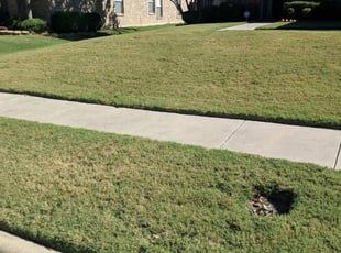#1 Mansfield, TX Lawn Care Service | Lawn Mowing from $19 ...