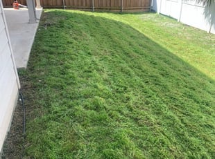 Professional Lawn Care Company Lebanon Pa Grass Roots Lawn Service