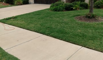 Landscaping Lawn Care Maintenance Blog Narrowleaf Landscapes When Not To Power Rake Or De Thatch Your Lawn