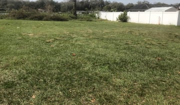 Seffner, FL Lawn Care Service | Lawn Mowing from $19 ...